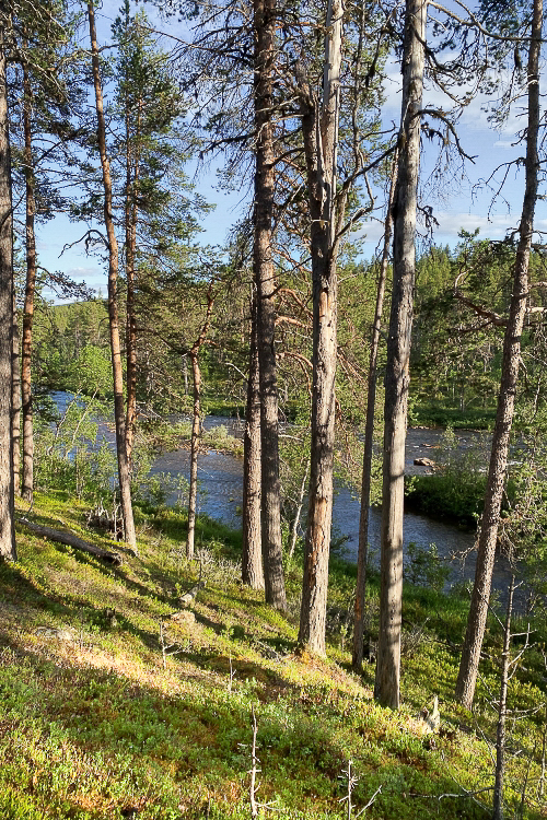 Ravadasjärvi